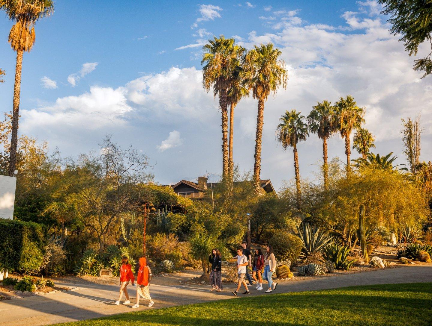 学生s walking in front of palm trees